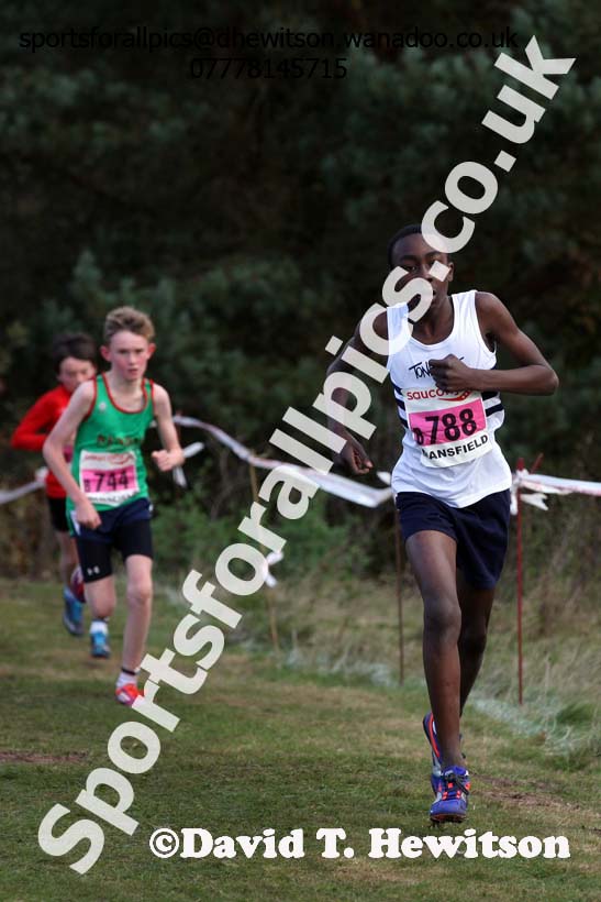 Boys under-13s, 2016 National Cross Country Relays, Berry Hill Park, Mansfield. Photo: David T. Hewitson/Sports for All Pics
